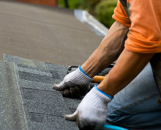 Best Roof Gutter Cleaning  in El Sobrante, CA